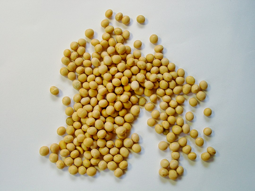 Phytoestrogens in Plant Foods: What Women Over 40 Should Know
